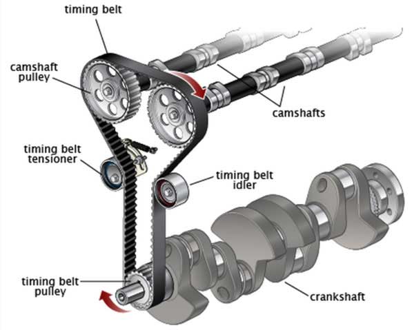 A timing belt and pulleys on a automotive engine